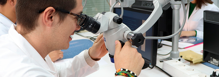 Diploma d'Especialització en Endodòncia: aplicacions i ús del microscopi quirúrgic en endodòncia
